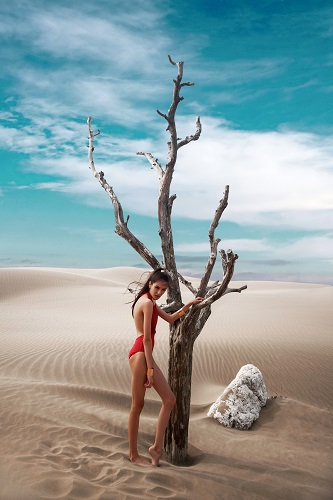 åä¸æå½±ï¼å¹¿åæå½±ï¼æ¶å°æå½±